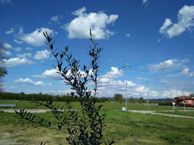 FB_IMG_1555148925890